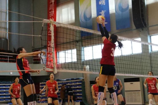 2026年国际足联世界杯