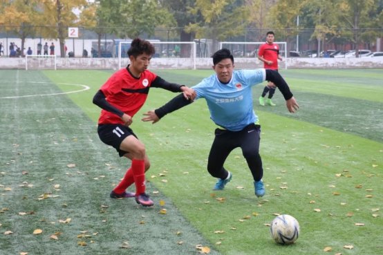 2026年国际足联世界杯