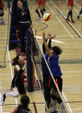 2026年国际足联世界杯