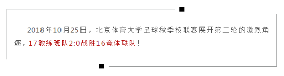 2026年国际足联世界杯