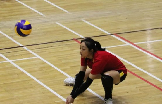 2026年国际足联世界杯