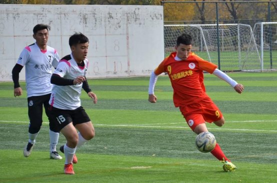 2026年国际足联世界杯