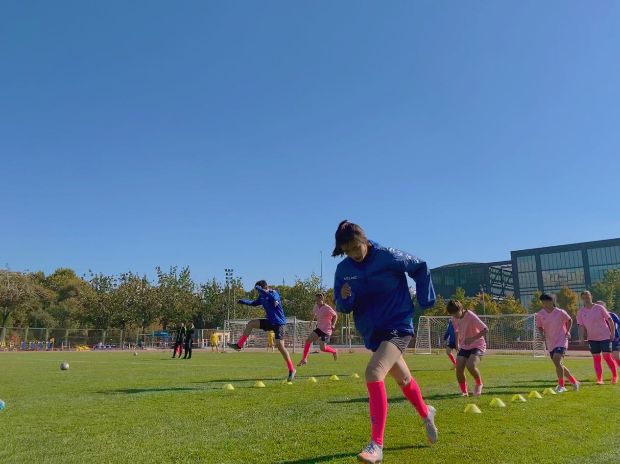 2026年国际足联世界杯