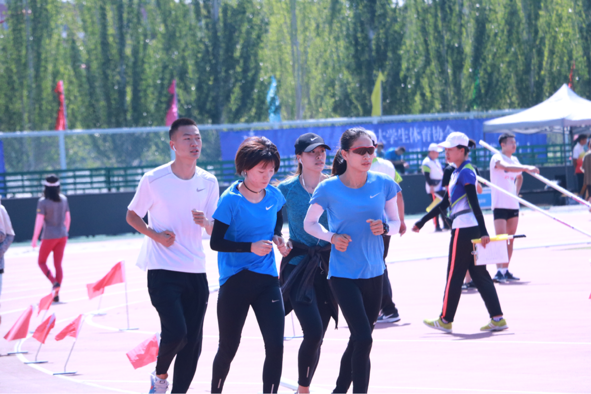 2026年国际足联世界杯