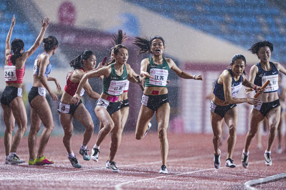 2026年国际足联世界杯