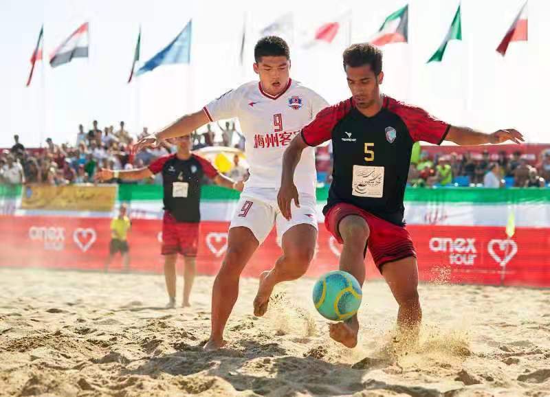 2026年国际足联世界杯