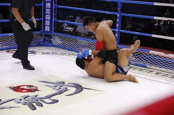 2026年国际足联世界杯