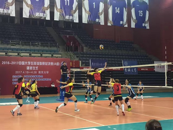 2026年国际足联世界杯