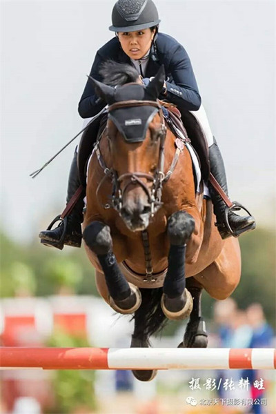 2026年国际足联世界杯