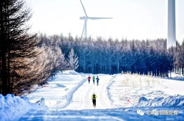 2026年国际足联世界杯