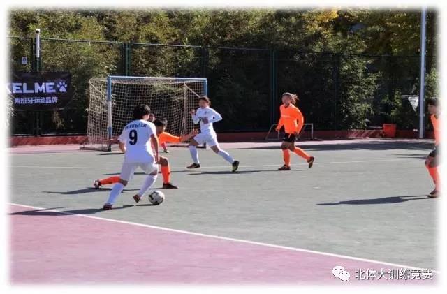 2026年国际足联世界杯