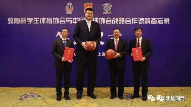 2026年国际足联世界杯