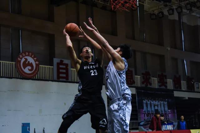 2026年国际足联世界杯