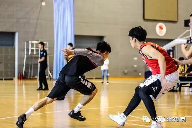 2026年国际足联世界杯