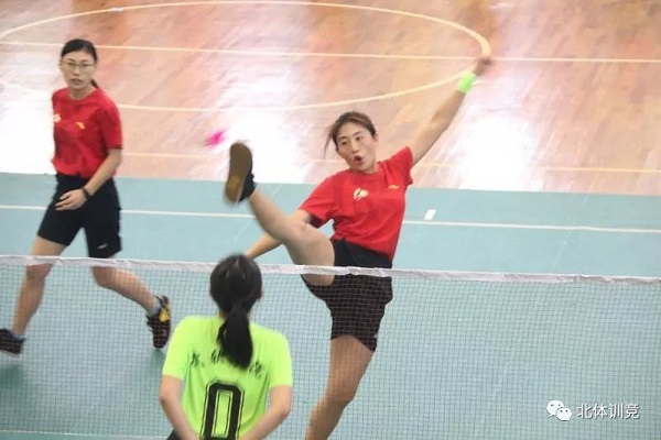 2026年国际足联世界杯