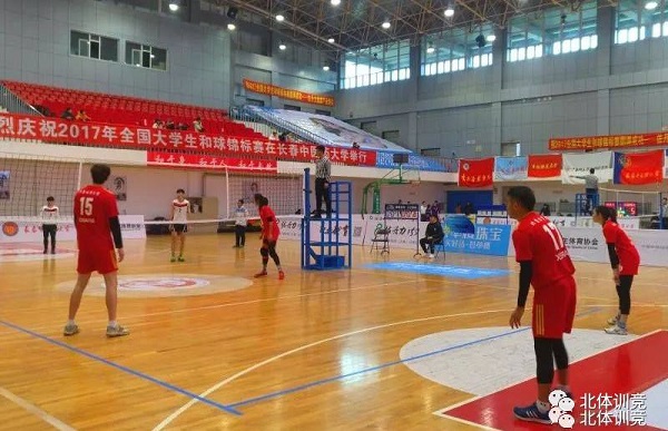 2026年国际足联世界杯