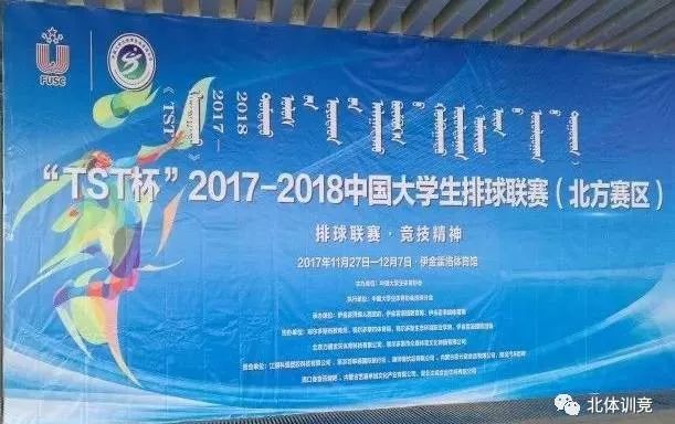 2026年国际足联世界杯