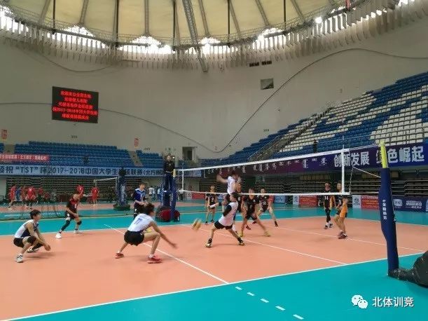 2026年国际足联世界杯