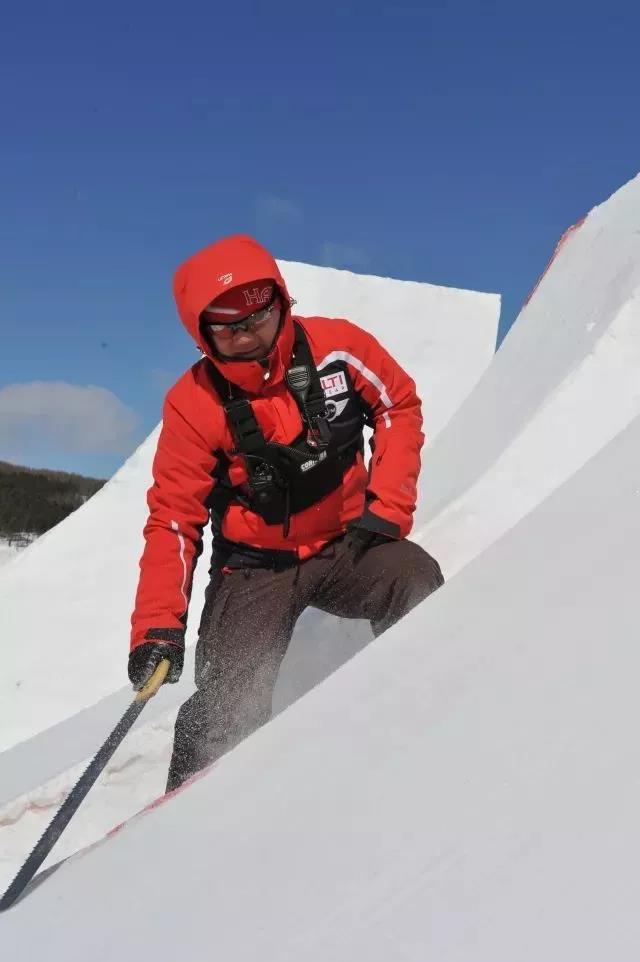 2026年国际足联世界杯