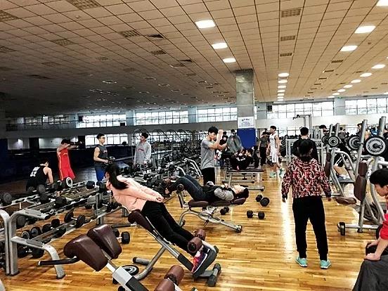 2026年国际足联世界杯