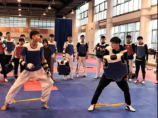 2026年国际足联世界杯