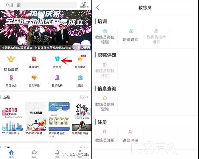 2026年国际足联世界杯