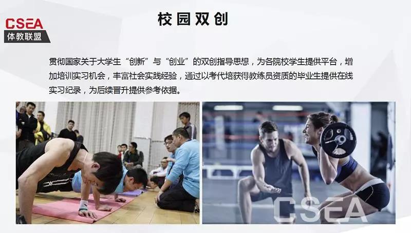 2026年国际足联世界杯