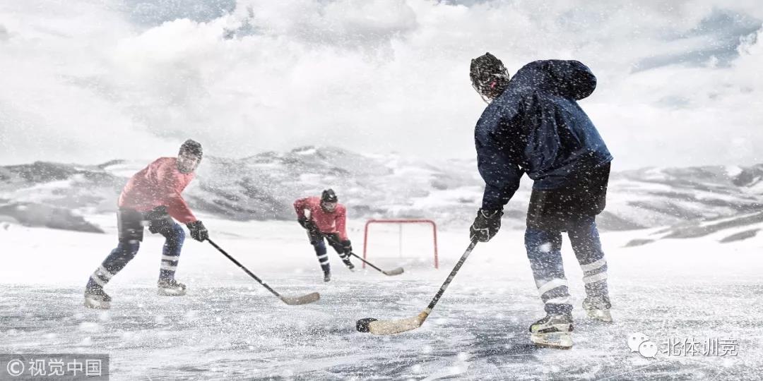 2026年国际足联世界杯