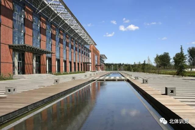 2026年国际足联世界杯