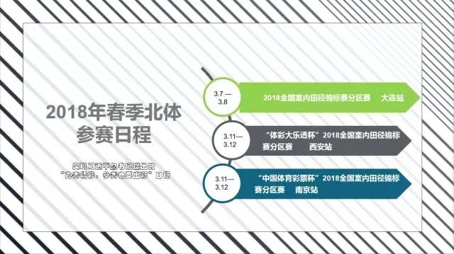 2026年国际足联世界杯