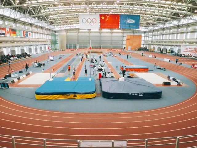 2026年国际足联世界杯