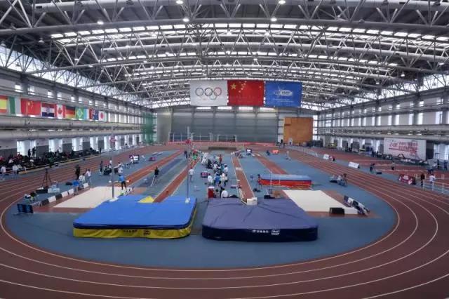 2026年国际足联世界杯