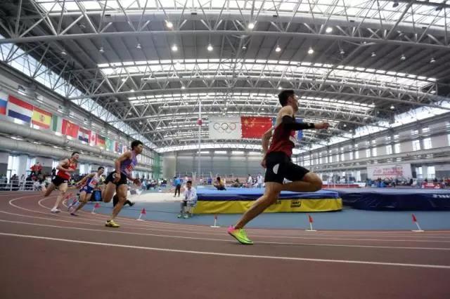 2026年国际足联世界杯