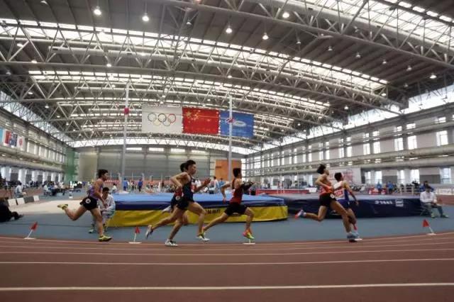 2026年国际足联世界杯