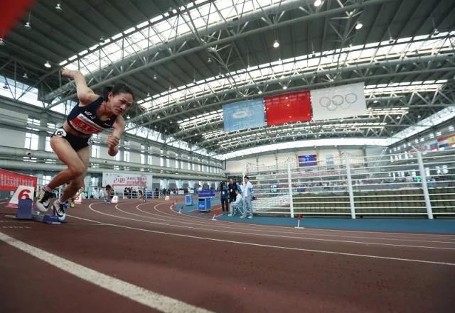 2026年国际足联世界杯