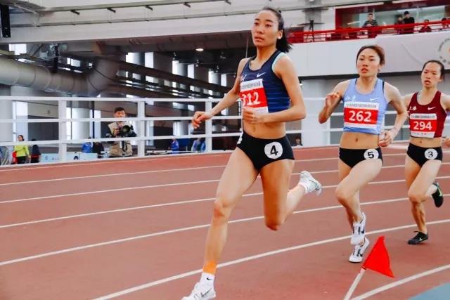 2026年国际足联世界杯