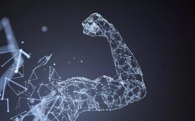 2026年国际足联世界杯