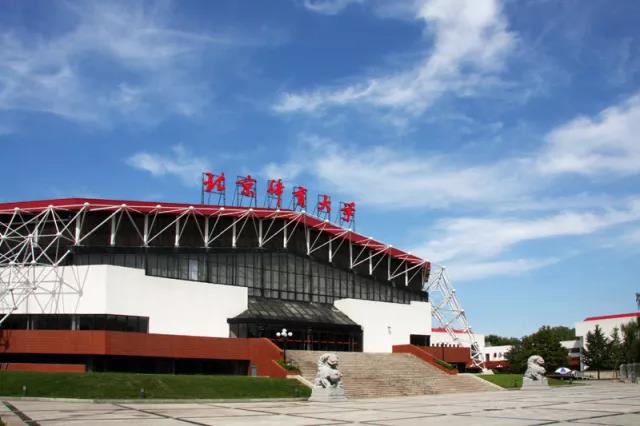 2026年国际足联世界杯