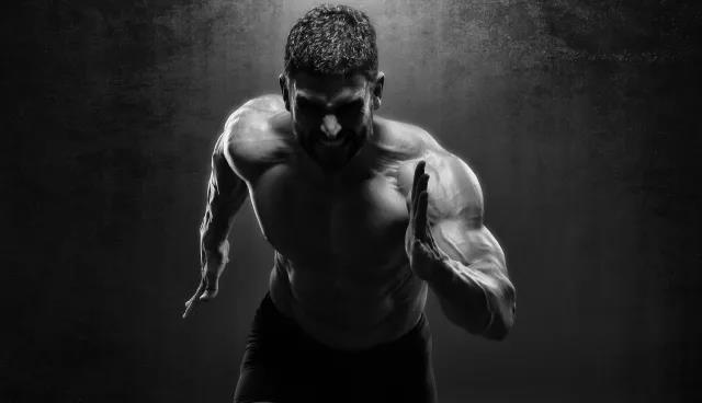 2026年国际足联世界杯