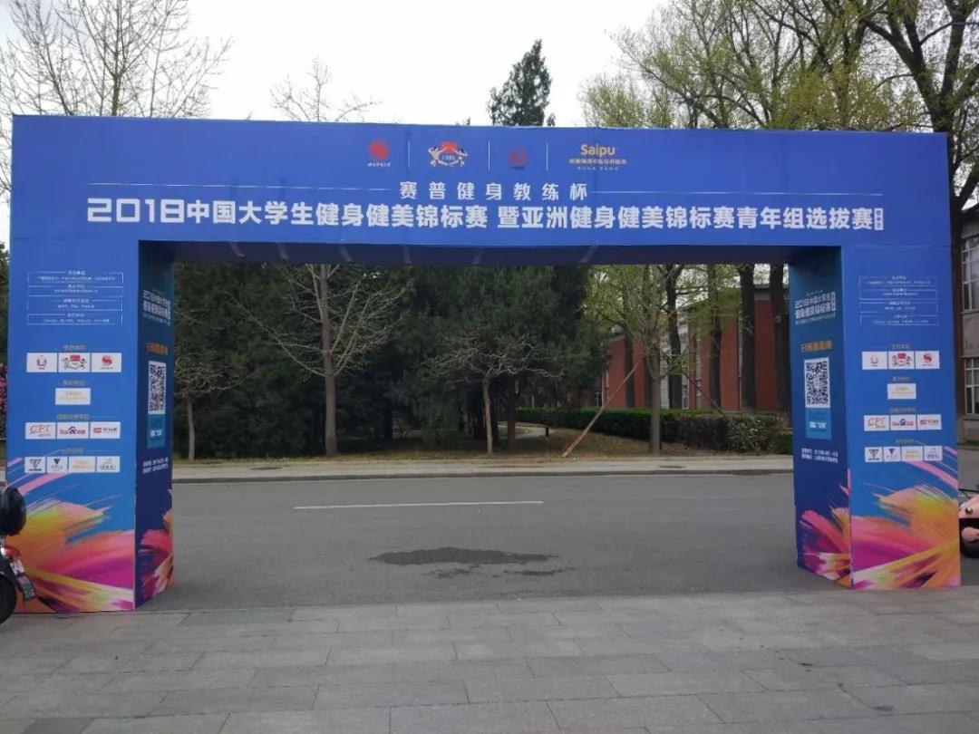 2026年国际足联世界杯