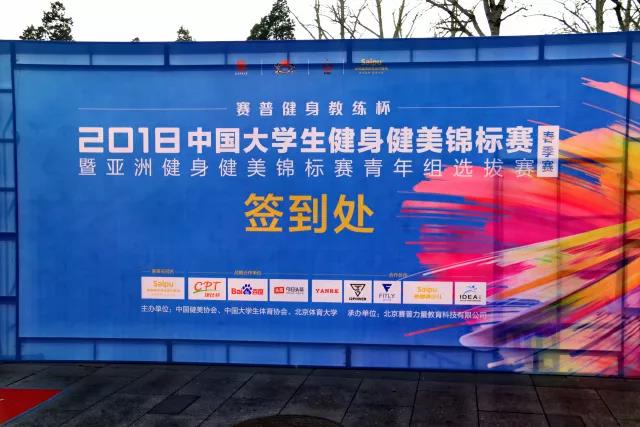 2026年国际足联世界杯