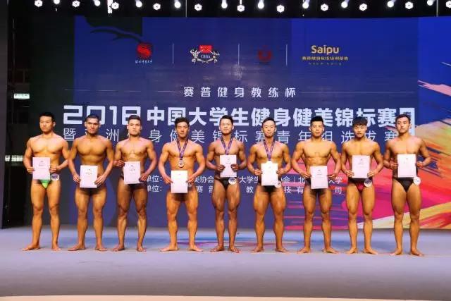 2026年国际足联世界杯