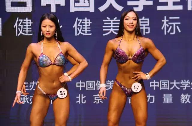 2026年国际足联世界杯