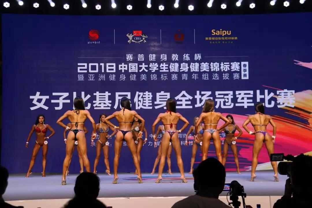 2026年国际足联世界杯