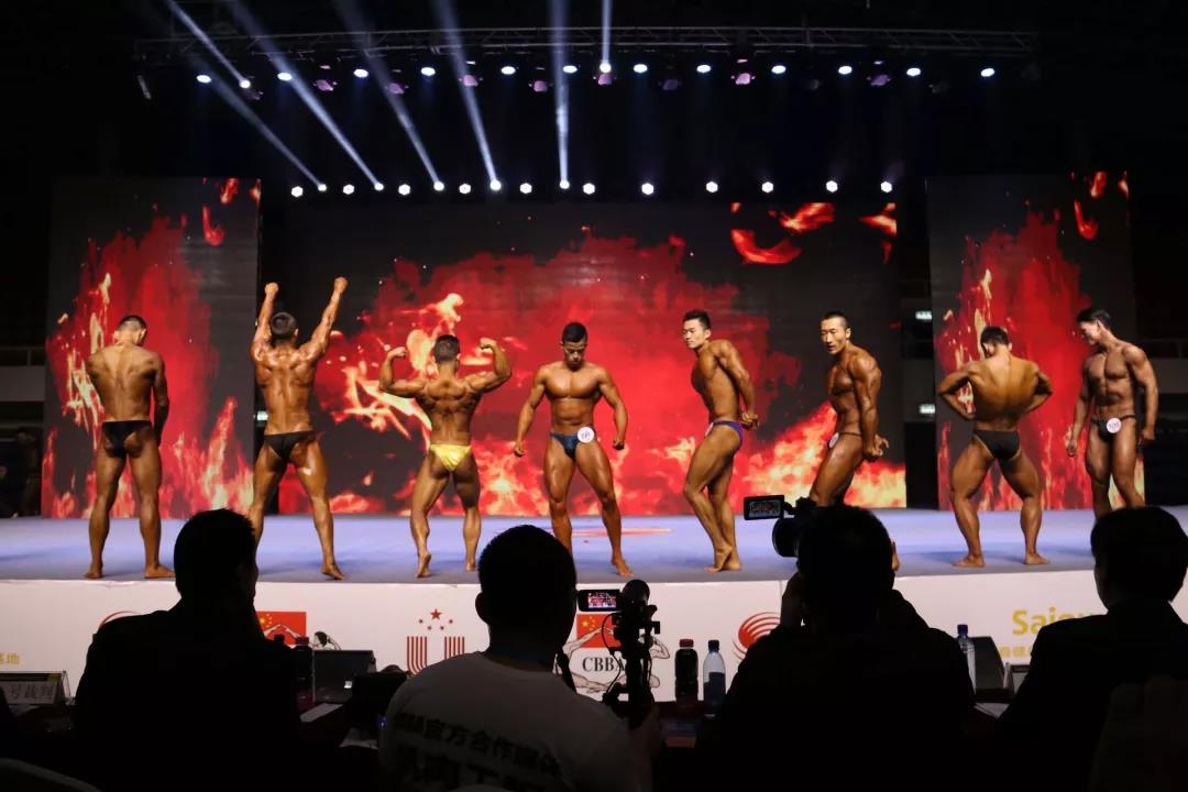 2026年国际足联世界杯