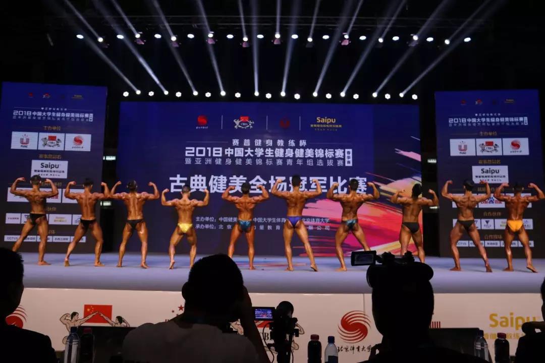 2026年国际足联世界杯