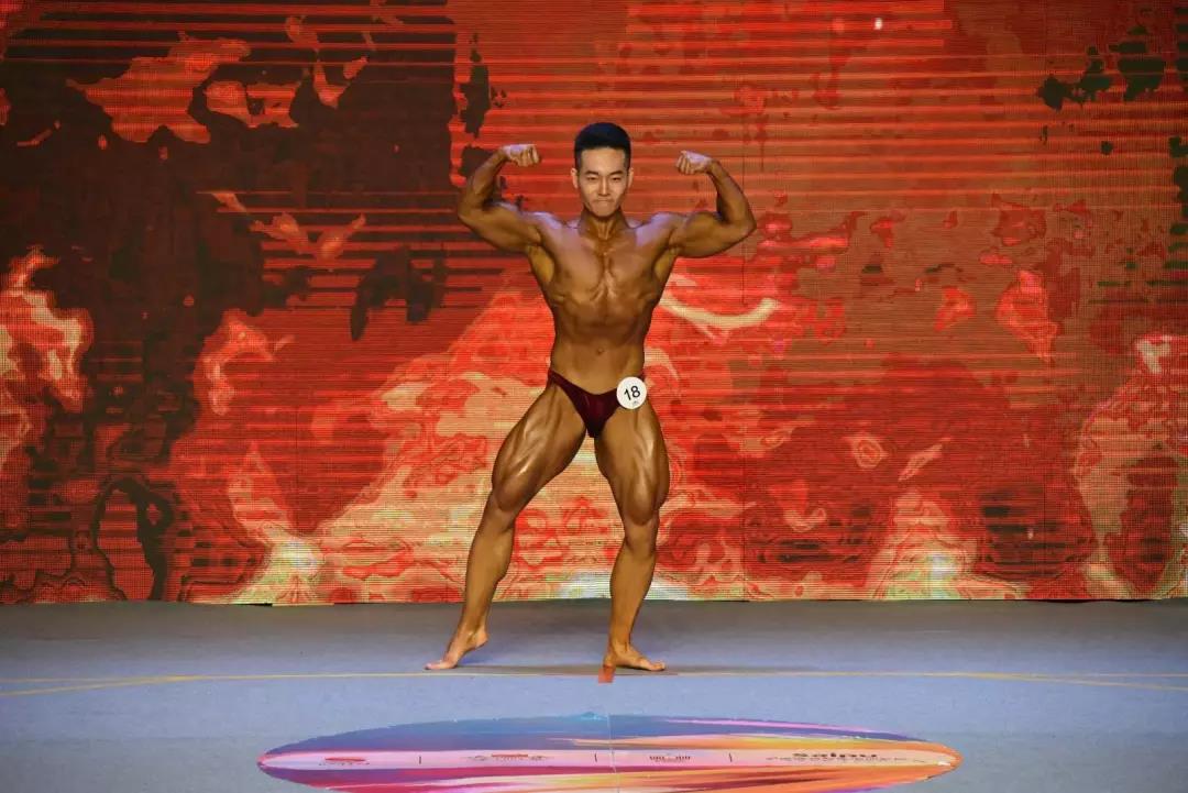 2026年国际足联世界杯