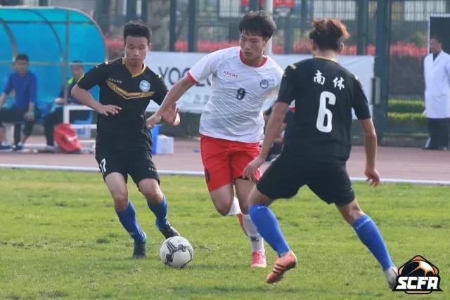 2026年国际足联世界杯