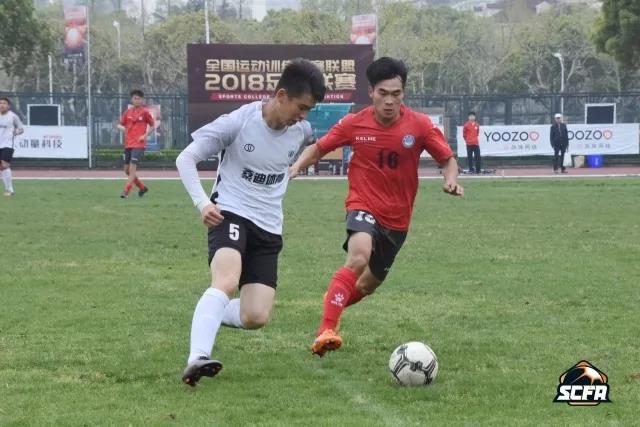 2026年国际足联世界杯