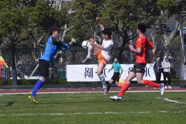 2026年国际足联世界杯